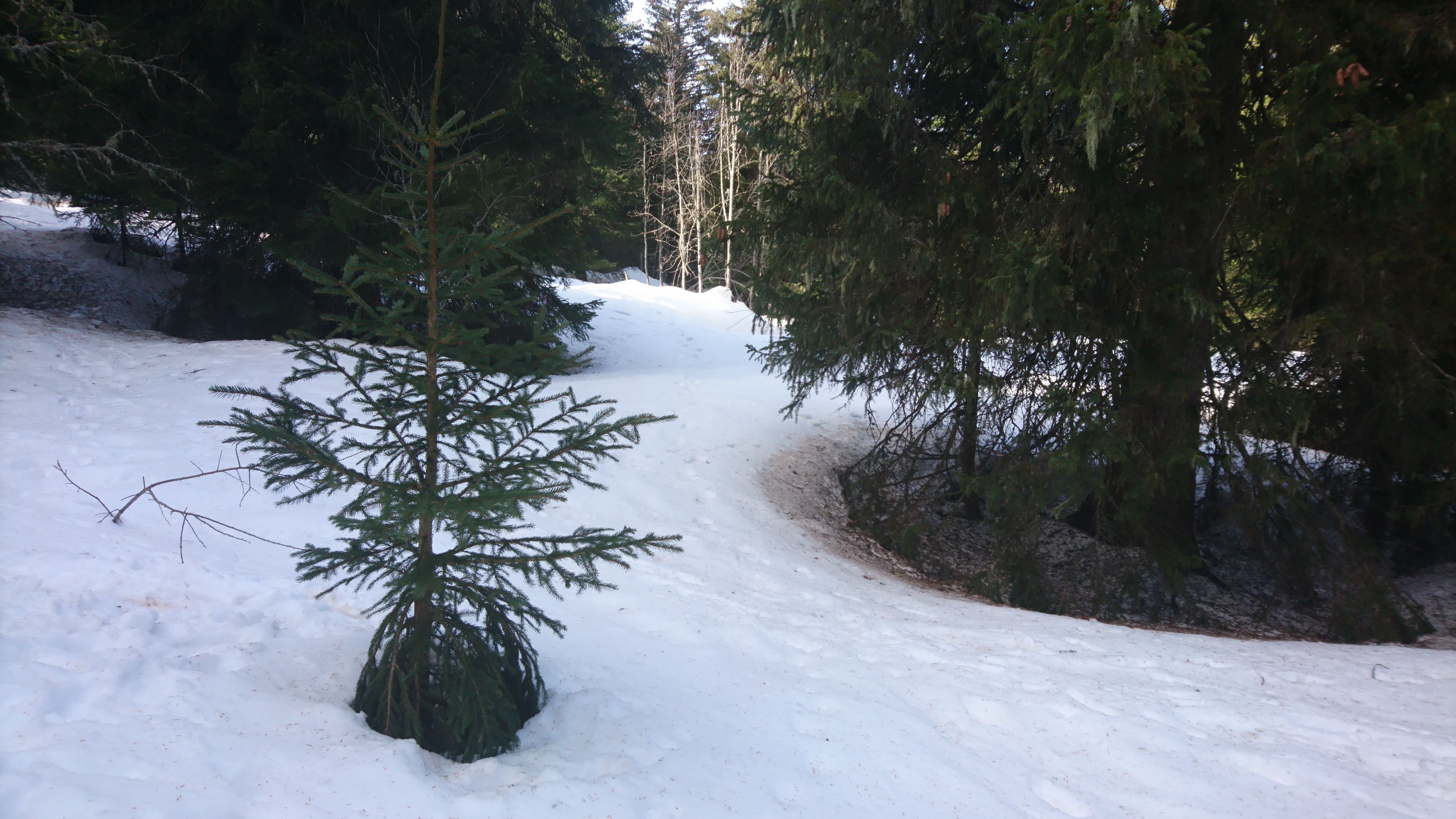 Photo n° 1 de l'avis de Frédéric.u fait le 24/02/2021 à 08:18