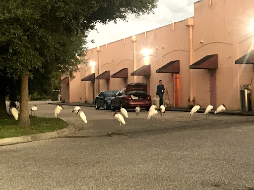 Coffee Shop «Starbucks», reviews and photos, 3604 84th Ave Cir E, Sarasota, FL 34243, USA