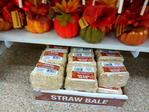 Dollar Store «Dollar Tree», reviews and photos, 79700 CA-111 c105, La Quinta, CA 92253, USA