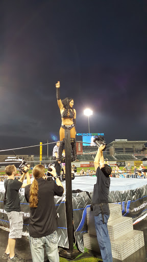 Stadium «Palisades Credit Union Park», reviews and photos