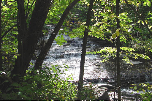 Parc-nature du Ruisseau-De Montigny