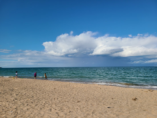 Lexington State Harbor Beach
