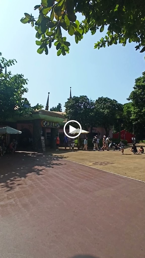 魔法肋排 的照片