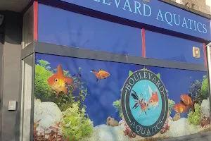 Boulevard aquatics image