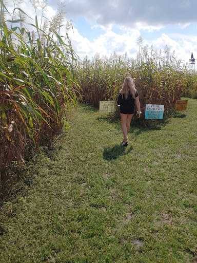 Tourist Attraction «Partin Ranch Corn Maze», reviews and photos, 5601 N Canoe Creek Rd, Kenansville, FL 34739, USA