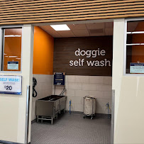 Petco - Photo 5 - Car repair in Westminster, CO, Denver