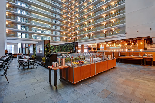 Embassy Suites by Hilton Chicago Downtown Magnificent Mile