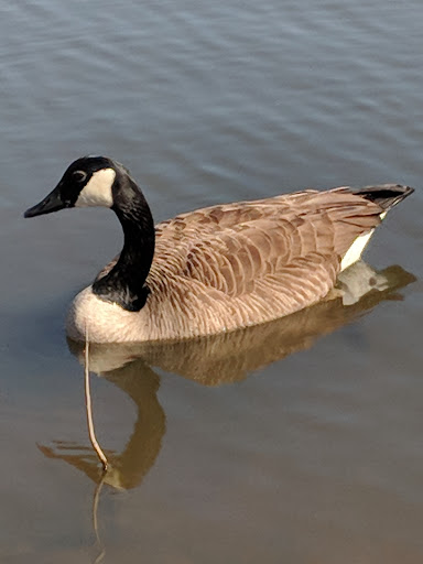 State Park «Bellevue State Park», reviews and photos, 800 Carr Rd, Wilmington, DE 19809, USA