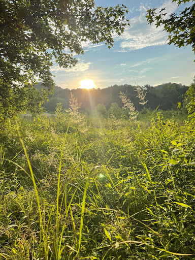 Nature Preserve «Jefferson Memorial Forest», reviews and photos, 11311 Mitchell Hill Rd, Fairdale, KY 40118, USA