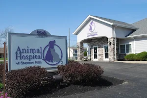 Animal Hospital of Shawnee Hills image