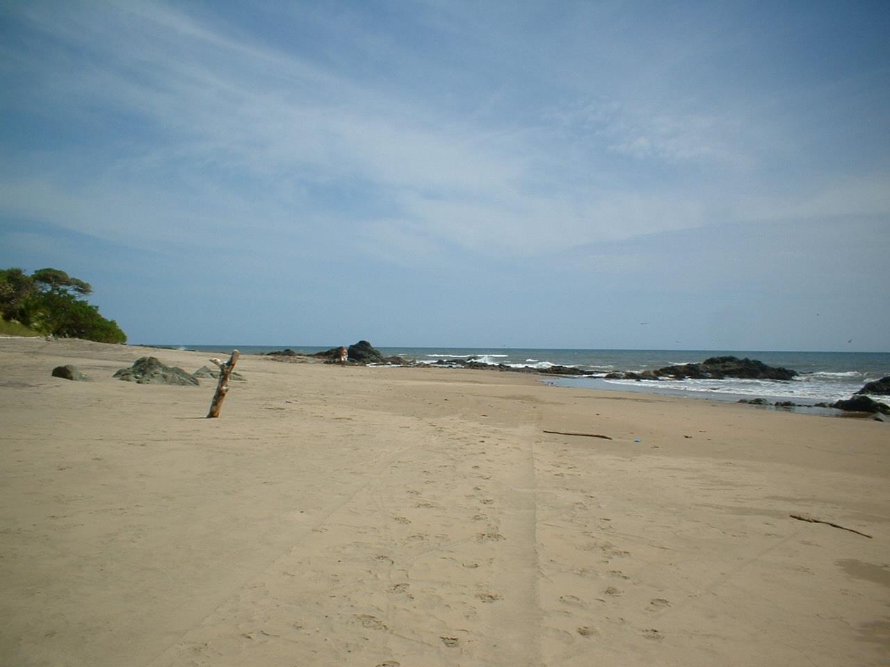 Lagart Point Beach的照片 带有碧绿色纯水表面