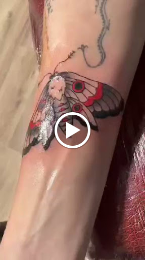 Explore small dinosaur tattoo ideas, creative tattoo ideas in Yakima, available at Wallflower Body Piercing & Crazy Ink Tattoo