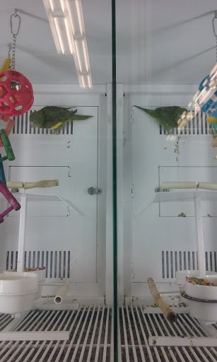 Pet Supply Store «Petco Animal Supplies», reviews and photos, 280 Kensington Blvd, Slidell, LA 70458, USA