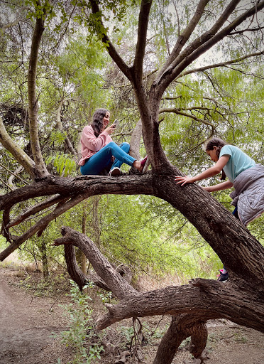 Park «McKelvey Park», reviews and photos, 1325 S 77 Sunshine Strip, Harlingen, TX 78550, USA