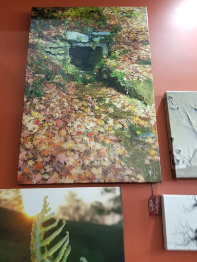 Art Gallery «Avenue Arts Marketplace & Theatre», reviews and photos, 324 Cleveland Ave NW, Canton, OH 44702, USA