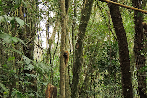 Serra Negra Biopark image