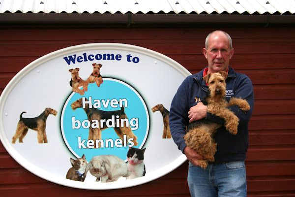 Haven Boarding Kennels & Cattery - Kennels & Cattery Ashford