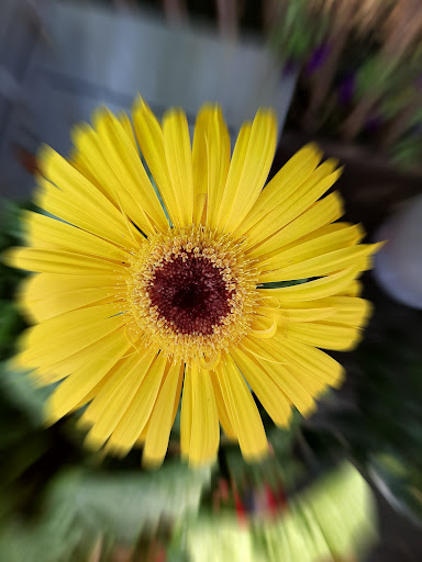 Landscaper «Reynolds Landscaping, Garden Shop & Garden Center», reviews and photos, 201 E Bay Ave, Manahawkin, NJ 08050, USA