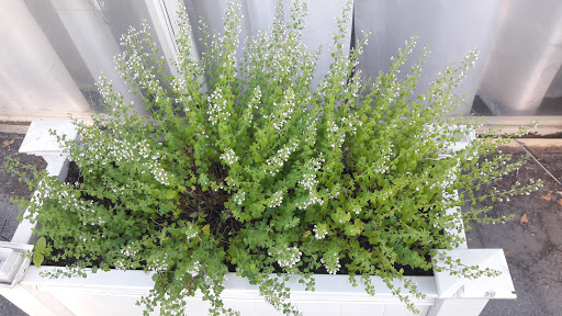 National Park «Castle Clinton National Monument», reviews and photos, Battery Park, New York, NY 10004, USA