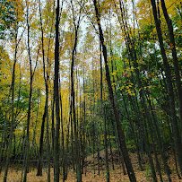 MOTOPHOTO imaging & photography - Photo 6 - Car repair in , New Haven