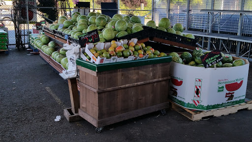 Produce Market «Morrow Brothers Produce Market», reviews and photos, 9907 SE 82nd Ave, Happy Valley, OR 97086, USA