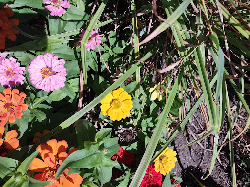 Shopping Mall «Sugar House Shopping Center», reviews and photos, 2274 S 1300 E, Salt Lake City, UT 84106, USA