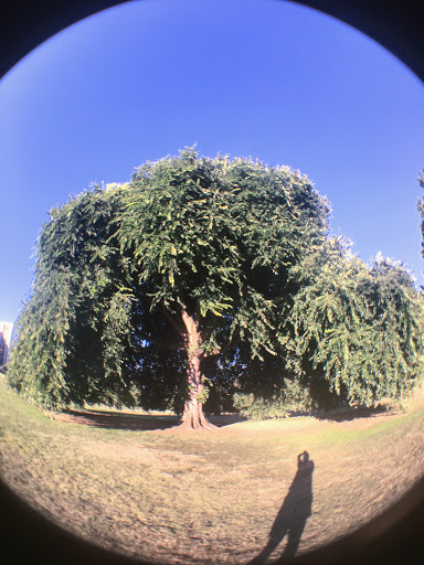 Park «Overlook Park», reviews and photos, 1599 N Fremont St, Portland, OR 97227, USA