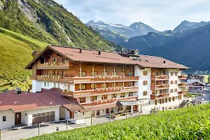 Hotel Alpenhof image
