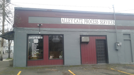 Mejor Notaría Alley Catz Process Services, LLC