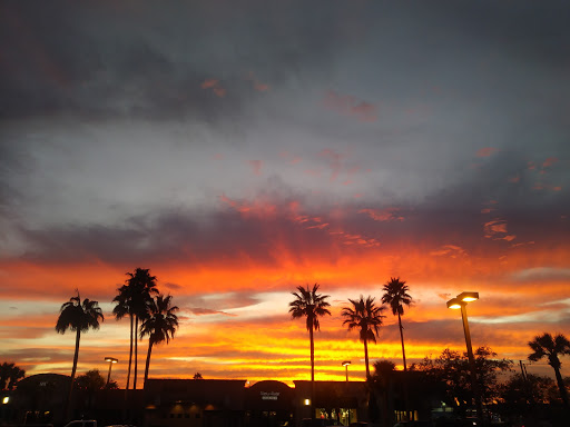 Shopping Mall «Lamar Park Shopping Center», reviews and photos, 3850 S Alameda St, Corpus Christi, TX 78411, USA