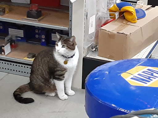 Auto Parts Store «NAPA Auto Parts - Harrison Auto Parts», reviews and photos, 793 Dover Rd NE, Sugarcreek, OH 44681, USA