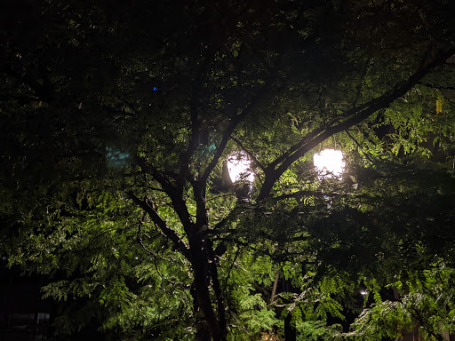 Monument «Soldiers and Sailors Monument», reviews and photos, 1 Monument Cir, Indianapolis, IN 46204, USA