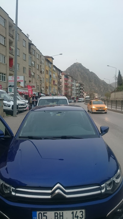 Şehzade Otomotiv Amasya