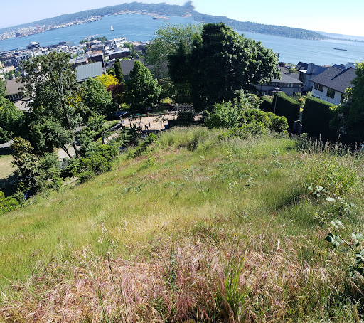 Park «Kerry Park», reviews and photos, 211 W Highland Dr, Seattle, WA 98119, USA