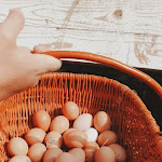 Photo n°5 de l'avis de Josi.e fait le 22/07/2020 à 18:39 sur le  Alte Försterei Wensickendorf à Oranienburg