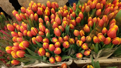 florist