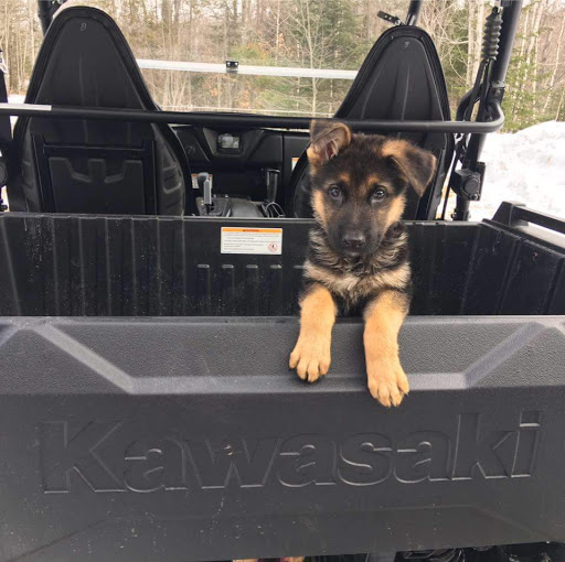 Motorcycle Dealer «Bangor Motor Sports», reviews and photos, 34 Banair Rd, Bangor, ME 04401, USA