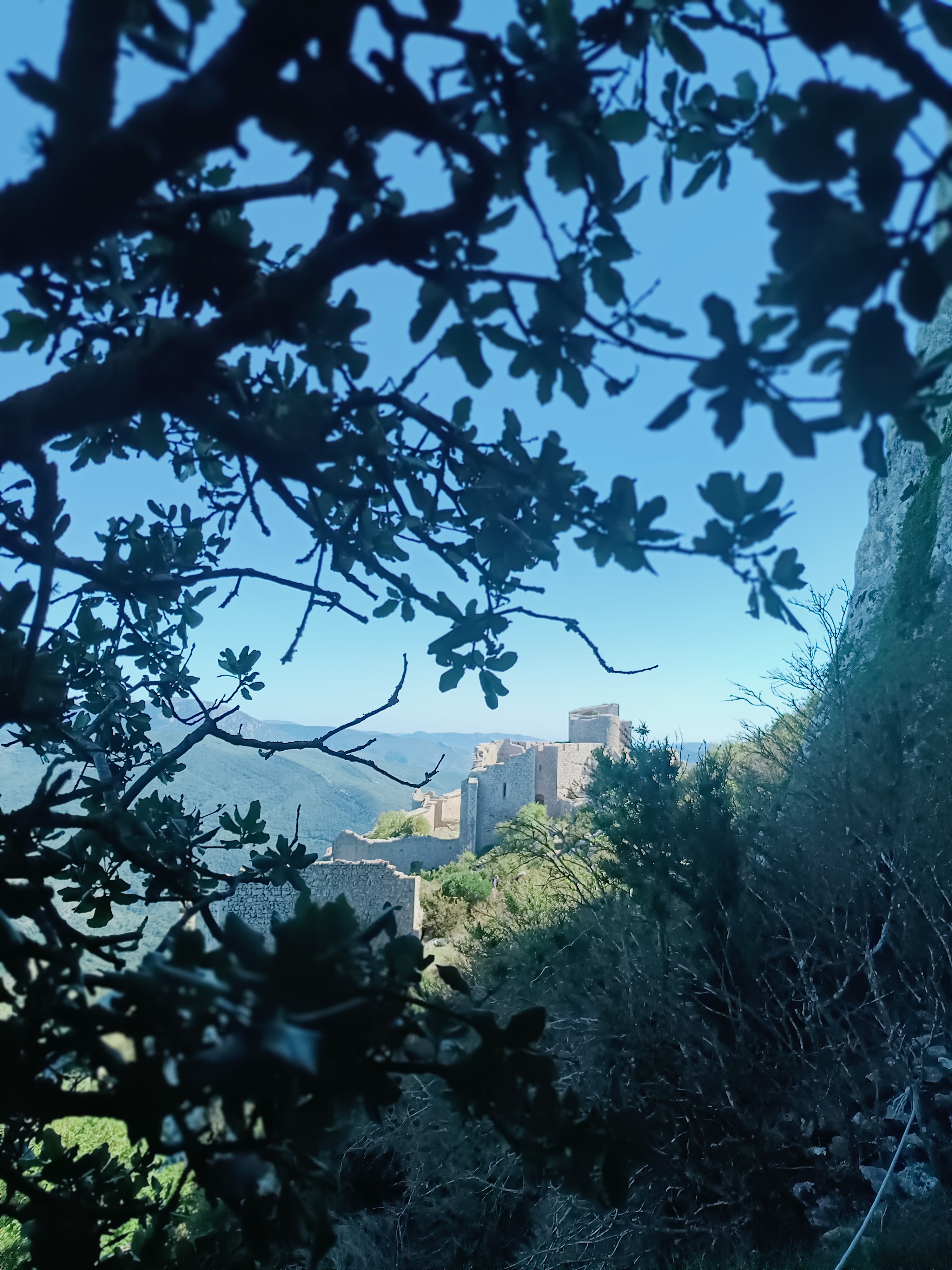 Photo n° 2 de l'avis de Francis.e fait le 25/09/2023 à 13:01