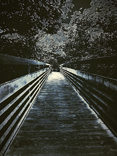 Bicycle Rental Service «Silver Comet Cycles», reviews and photos, 4342 Floyd Rd SW, Mableton, GA 30126, USA