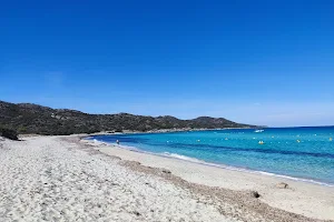 Plage de Saleccia image