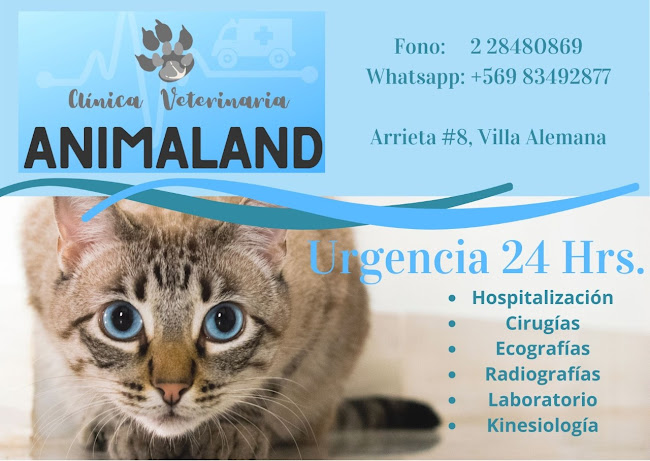 Clinica Veterinaria Animaland (URGENCIAS)