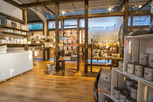 DOGSTYLER Sinsheim unter Sinsheim, 