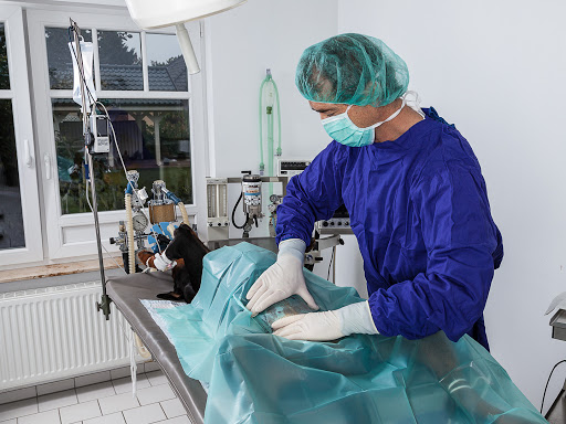 Veterinary practice Sven Bänder unter Kühlungsborn, Mecklenburg-Vorpommern