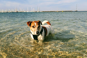 St Kilda West Beach