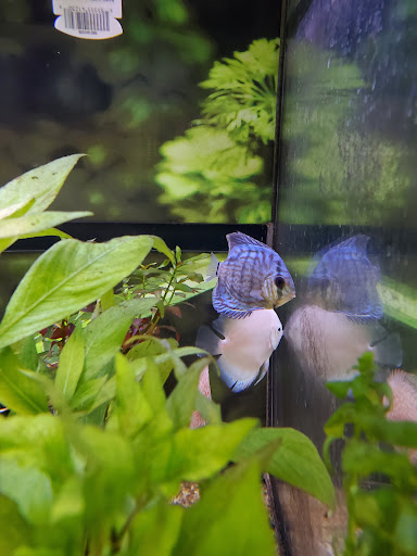 Pet Supply Store «Petco Animal Supplies», reviews and photos, 2140 E Blvd St, Kokomo, IN 46902, USA