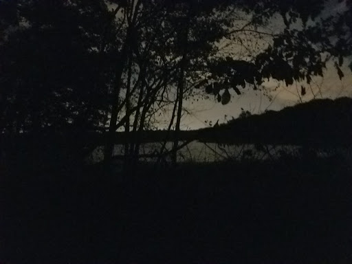 Nature Preserve «Bullfrog Lake», reviews and photos, 9600 Wolf Rd, Willow Springs, IL 60480, USA