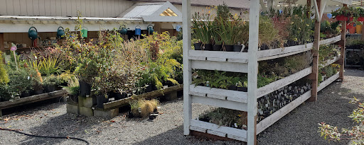 Hardware Store «Lakewood Hardware & Paint, Inc», reviews and photos, 9020 Lakewood Dr SW, Lakewood, WA 98499, USA