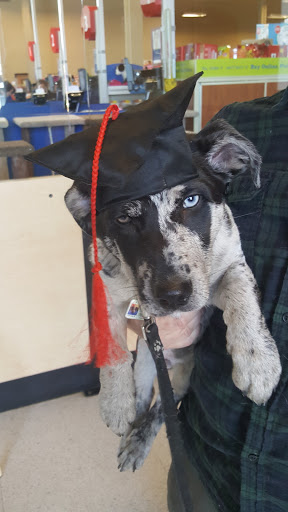 Pet Supply Store «PetSmart», reviews and photos, 585 Main St, Brookfield, WI 53005, USA