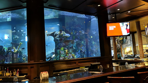 Sporting Goods Store «Bass Pro Shops», reviews and photos, 1133 N Dobson Rd, Mesa, AZ 85201, USA