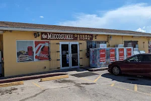 The Miccosukee General Store image